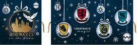Harry Potter - Advent Calendar (6600000159)
