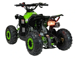 Keturratis su vidaus degimo varikliu RENEGADE HIPERFECT 110CC žalias