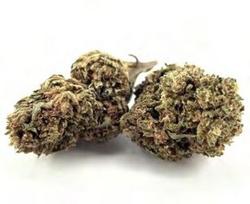 CBD Kanapių Žiedai „OG Kush“ – Klasikinis Standartas