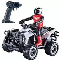 WOOPIE Nuotoliniu būdu valdomas RC Stunt Quad 1:16