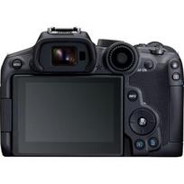 Canon EOS R7 + RF-S 18-45mm F4.5-6.3 IS STM(F/4.5-6.3 IS STM) + Mount Adapter EF-EOS R