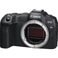 Canon EOS R8 + RF 24-105mm f/4-7.1 IS STM + Mount Adapter EF-EOS R