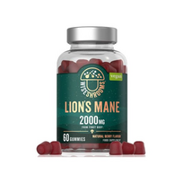 Wiseshrooms Lion's Mane Gummies 2000 mg 60 gummies