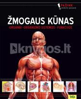 ŽMOGAUS KŪNAS. Organai. Organizmo sistemos. Funkcijos