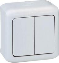 2 gang one-way switch Forix- surface mounting - 10 AX - 250 V - grey 782382 | 3245067823828