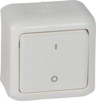 Double pole switch Forix - surface mounting - 10 AX - 250 V - white 782366 | 3245067823668