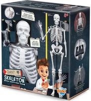 Mokslinis rinkinys BUKI žmogus skeletas (EN)