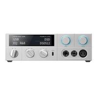 FiiO K15 ausinių stiprintuvas su DAC - Sidabro