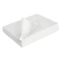 Vienkartinės servetėlės  Bio 100 vnt, 25x20 cm