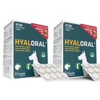 Hyaloral Giant N240 papildai sąnariams