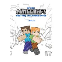 Minecraft nuotykių spalvinimo knyga, 1 dalis