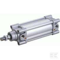 Standartinis cilindras DN100600CMG2
