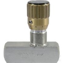Droselinis atbulinis vožtuvas, nerūd. plieno (SS) FT2257514