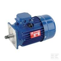 Elektros variklis 0,75 kW 1500 aps./min 400 V EM80B4MPP300IE3