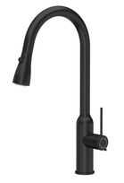 Virtuvinis maišytuvas su ištraukiama žarna Quadron JESSICA Q LINE 3573591_BLMQS, anglies juoda