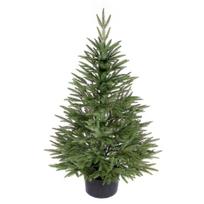 Dirbtinė eglutė Nordica 100% PE 110cm