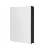 Veidrodinė spintelė be apšvietimo Kame SCANDIC, juodas ąžuolas, 50 cm