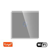 WiFi vienpolis sensorinis jungiklis Feelspot, pilkas 800W
