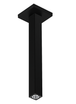 Dušo galvos laikiklis Hansgrohe E 30 cm, 24339670, juodas matinis