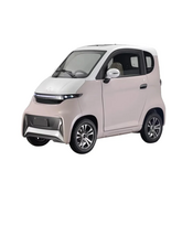 Elektrinis Mini Automobilis J4, 2000W 58AH AC
