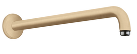 Dušo galvos laikiklis Hansgrohe 38.9 cm, 27413140