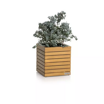 Natūralaus medžio vazonas Lechuza PALO Natural wood 80, 16774, žemas