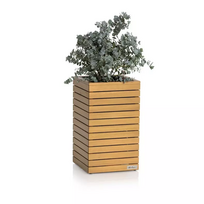 Natūralaus medžio vazonas Lechuza PALO Natural wood 80, 16775, aukštas