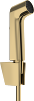 Bidė dušelis Hansgrohe 29238990, aukso