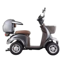Elektrinis keturratis/ mopedas/ motoroleris Lunar 1, 1kW, 20AH, EEC, pilkas