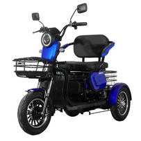 Elektrinis triratis motoroleris M20, 1kW, 20AH Li-ion