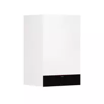 Dujinis kondensacinis katilas Viessmann Vitodens 111-W 2021, 3.2-25 kW, su integruotu 46L vandens šildytuvu