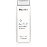 Framesi Morphosis Scalp giliai valantis šampūnas 250 ml