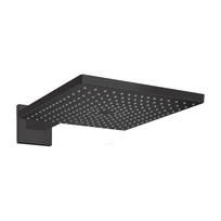 Dušo galvutė HANSGROHE Raindance E 1jet, 26238670