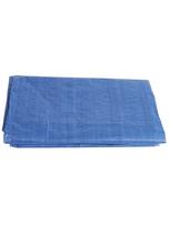 Tentas TOPEX 3x4 m, 70 g/m², mėlynas
