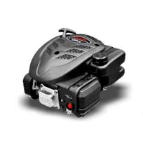Variklis Loncin LC1P65FE
