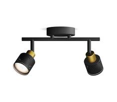 Philips - Akcentinis apšvietimas NIALL 2xGU10/5W/230V juoda/žalvaris