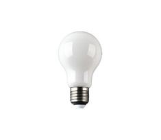 LED elektros lemputė FILAMENT A60 E27/12W/230V 330° 3000K