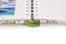 Albumas FANDY DRS30 ABLOOM-2 22.8x28 cm | 60 magnet psl | spiralinio rišimo
