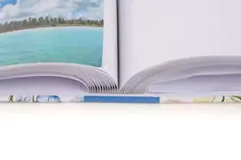 Albumas FANDY B46200 ABLOOM-1 10x15 200 | kišeninis | knyginio rišimo