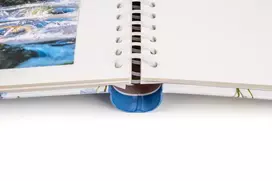 Albumas FANDY DRS30 ABLOOM-1 22.8x28 cm | 60 magnet psl | spiralinio rišimo