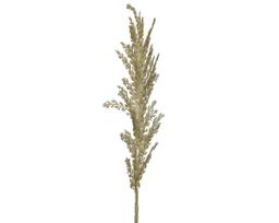 Kalėdinė dekoracija BRANCH, kreminės sp., 6 x 2 x 67 cm