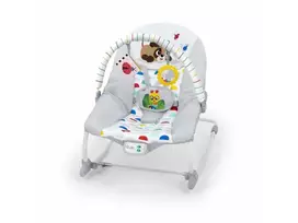 BABY EINSTEIN sūpuoklės - kėdutė Dean's Discovery Spot, 17193