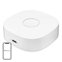 Išmanieji namai WS2GW-R WiFi
