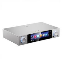 FiiO S15 tinklo grotuvas - Sidabro