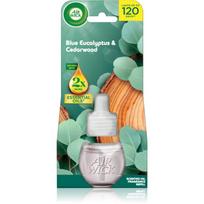 Air Wick Blue Eucalyptus & Cedarwood elektrinio difuzoriaus užpildas 19 ml