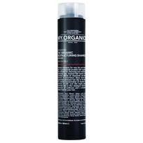 Restructuring Shampoo Atstatomasis šampūnas su arganu ir šilkais 250ml