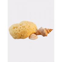 Fina Silk Sea Sponge  Natūrali kempinėlė kūdikiams 5 cm
