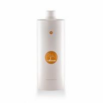 InBloom Lush Nourishing Mask Maitinanti kaukė plaukams 1000ml