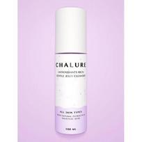 Antioxidants Rich Gentle Jelly Cleanser Sebumo Išsiskyrimą reguliuojantis gelinis veido prausiklis 100ml