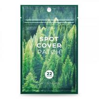 Spot Cover Patch Pleistriukai spuogams 22 vnt.